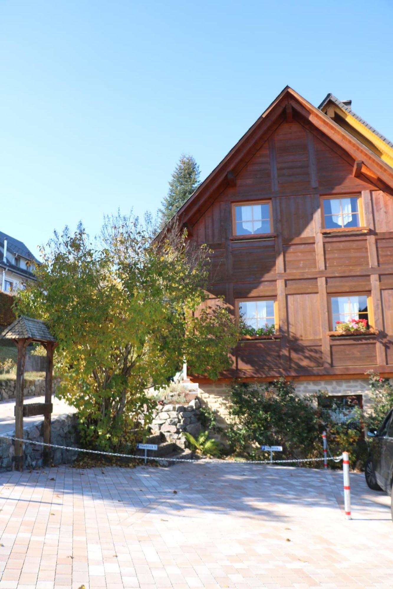 Ferienwohnung Seeblick Nr 5, 2 Zi-Baerental, Feldberg Rotwasser Ngoại thất bức ảnh